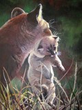 by Corrine Ziesmer