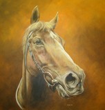 by Paula Shapland