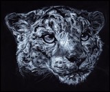 by Danny Munn