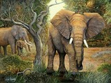 by Doni Kendig