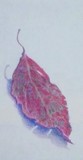 by Regina Calton Burchett