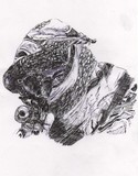 by tony allen