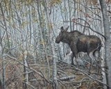 by Sheryl Boivin