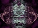 by Joe Janicki