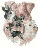 by Barbara Keith