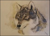 by Agnieszka Henne