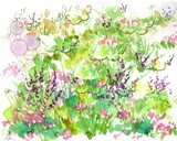 by cathie richardson