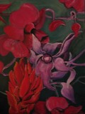 by taylor schenck