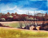 by Donna Taylor