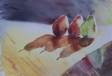 by Anne-Cecile Derrien