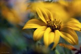 by Bill M