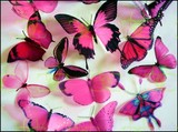 by Clear Cut Crafts