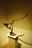 by fredie cumberland II