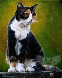 by Cara Bevan