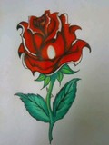 by brittney  garcia