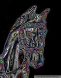 by Stefani Wehner