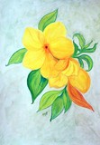 by Suelene Rebouças