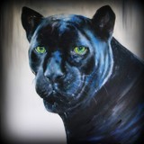 by Debi Allison (D.Day)