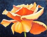 by Carol Sabo