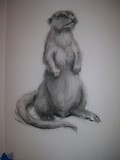 by Tamara Murakami-Baxter
