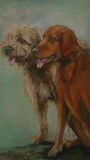 by anne lynch