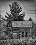by Steven Swanson