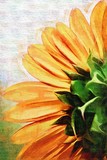 by Holly DeLaughter