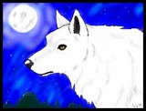 by chibi zaza