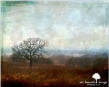 by Tia Bailey