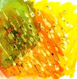 by aparna joshi