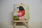 by cindy kelly