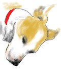 by Ruth Mellor