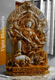 by vipin bhadauria