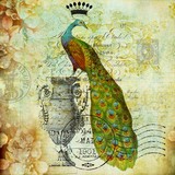 by Elizabeth Mix
