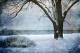 by Randi Grace Nilsberg