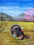 by tami  booher
