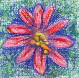 by Dana Koffenberger