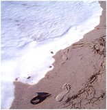 by Pat 'Gracie'  Merewether