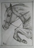 by Deepesh Nayak