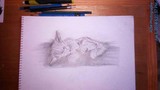 by Ruben Malinao