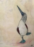 by Sheri Medford
