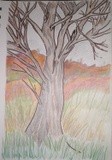 by Solitary Hart