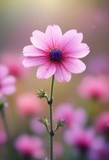 by Mihaela B