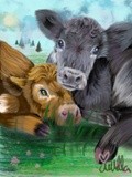by Ariella Belau