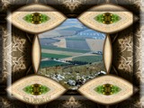 by Nira Dabush