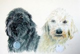 by Yvonne Carter