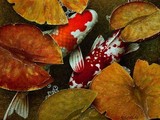 by Terry Gilecki
