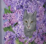 by Cindy Morris-Firak
