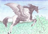 by Felanim Fire