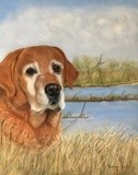 by Katherine Taylor-Green